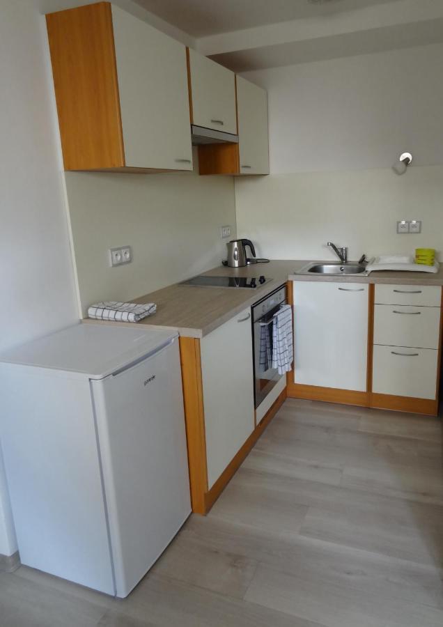 Apartman Karovi Дестне в Орлицки хора Екстериор снимка